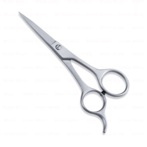 Economy Hair Scissors