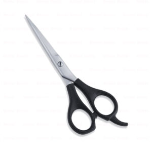 Economy Hair Scissors