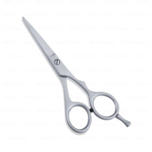 Economy Hair Scissors