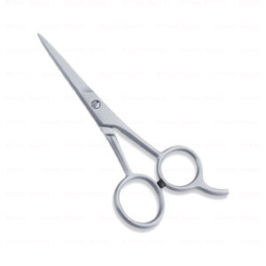 Economy Hair Scissors