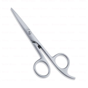 Economy Hair Scissors