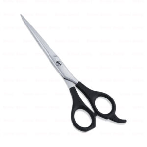 Economy Hair Scissors