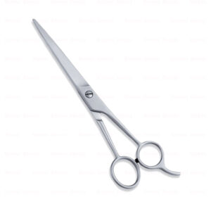 Economy Hair Scissors