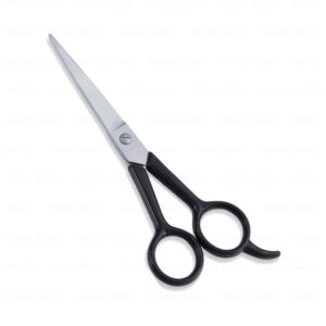 Economy Hair Scissors
