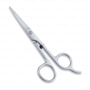 Economy Hair Scissors