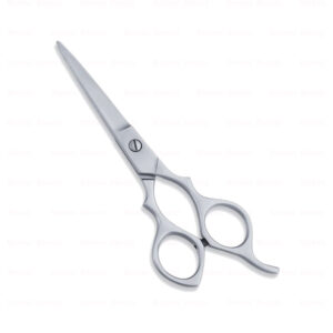 Economy Hair Scissors