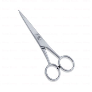 Economy Hair Scissors
