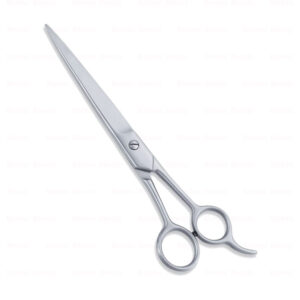 Economy Hair Scissors