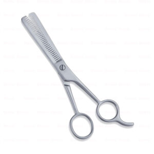 Economy Hair Scissors