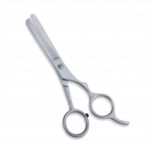 Economy Hair Scissors