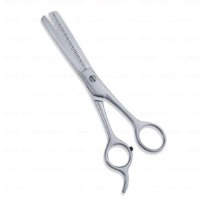 Economy Hair Scissors