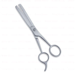 Economy Hair Scissors