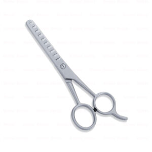 Economy Hair Scissors